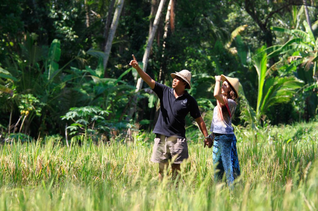 Morning Walk Activities